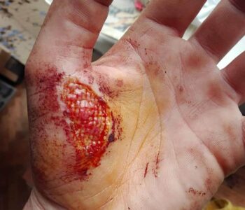 102945861_2708266056069160_2976647105699650362_n