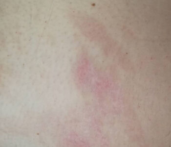 18952695_1397295337018766_8873530923983481431_n-1