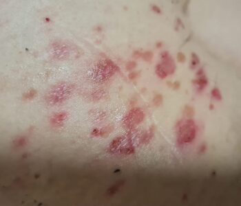 332124701_3351777918420082_2829106768299332541_n