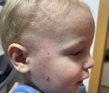 pred_po_070621_1080x10802